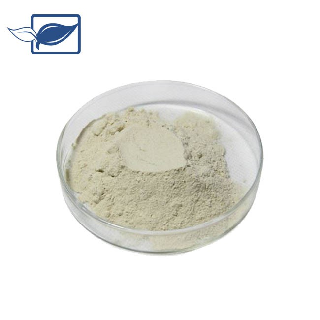 Čistý L Dopa prášek