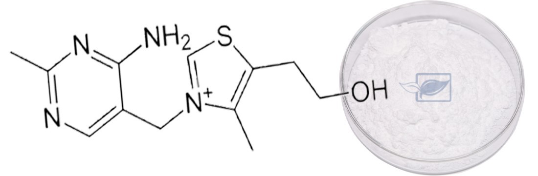 vitamin B1 5 vitamin B1 5